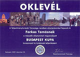 Budapestkupa